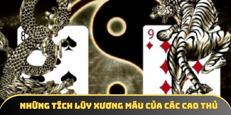 Những tích lũy xương máu của các cao thủ 