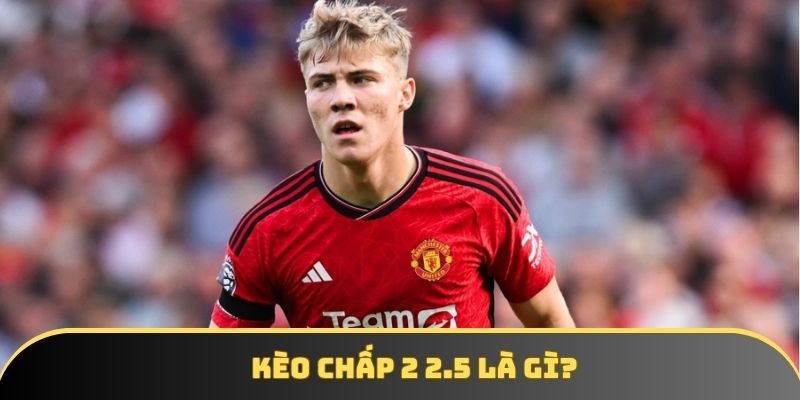 Kèo chấp 2 2.5 là gì? Bật mí chi tiết về khái niệm Kèo chấp 2 2.5 là gì? Bật mí chi tiết về khái niệm