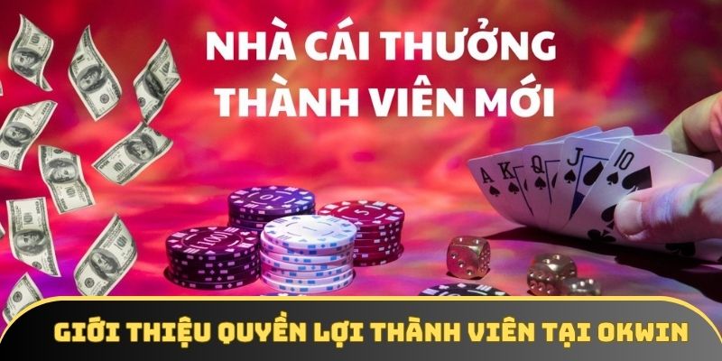 Giới thiệu quyền lợi thành viên tại OKWIN Giới thiệu quyền lợi thành viên tại OKWIN