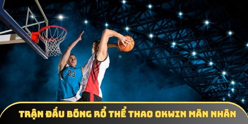 Trận đấu bóng rổ thể thao OKWIN mãn nhãn Trận đấu bóng rổ thể thao OKWIN mãn nhãn