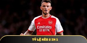 Tỷ lệ kèo 2 in 1 - Giải thích cặn kẽ cho các tân thủ